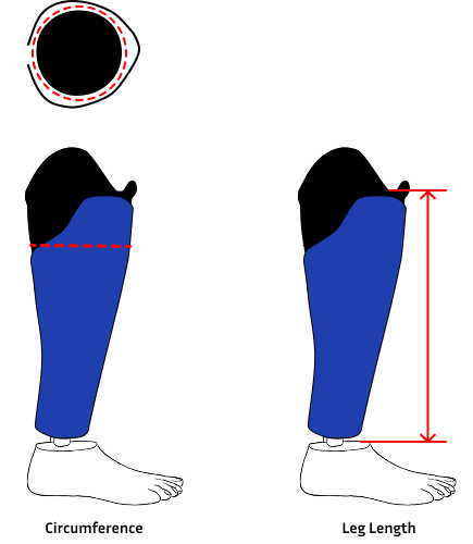 Diagram showing where leg length (A) is measured